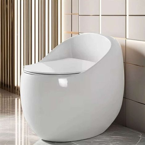 WC monobloc blanc design sans bride (1/5)