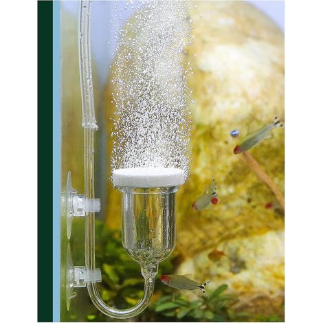 Kit de pierre à air pour aquarium (35 mm) avec vanne de contrôle pour une diffusion silencieuse et ultra-rapide dans les aquariums et les systèmes hydroponiques. (1/5)
