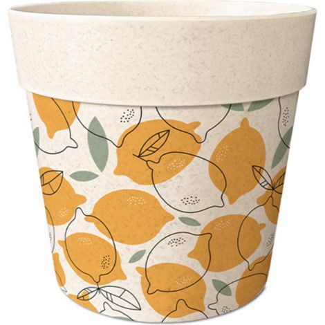 Cache pot en bambou citrons 12 cm (1/2)