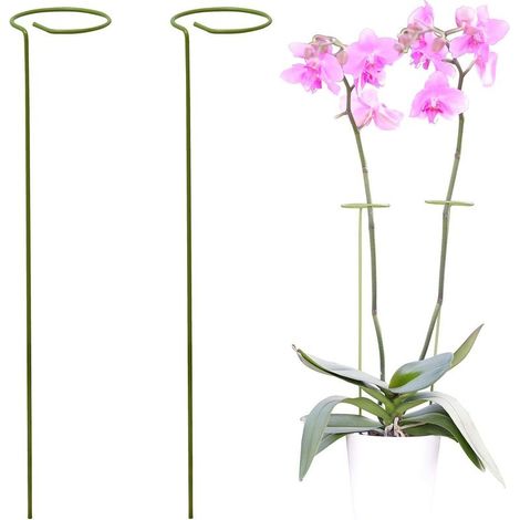 Kit 2 Tuteur Plante Supports pour Plantes Grimpantes et Fleurs Tuteur Vert Aidez Vos Fleurs à Pousser Tuteurs Tomates Jardin Pieux à Orchidées, Amaryllis, Pivoines, Poivrons et Plus 35cm (1/5)