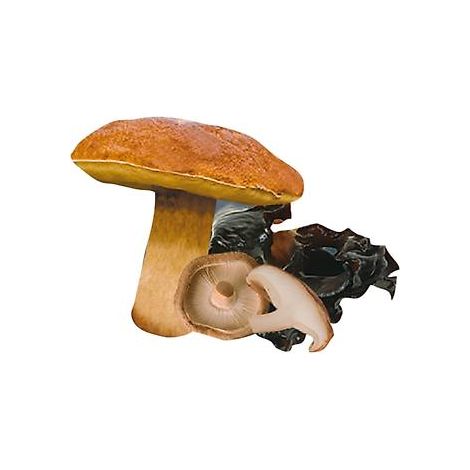 GARNITURE  FORESTIERE - BOÎTE DE 180 G