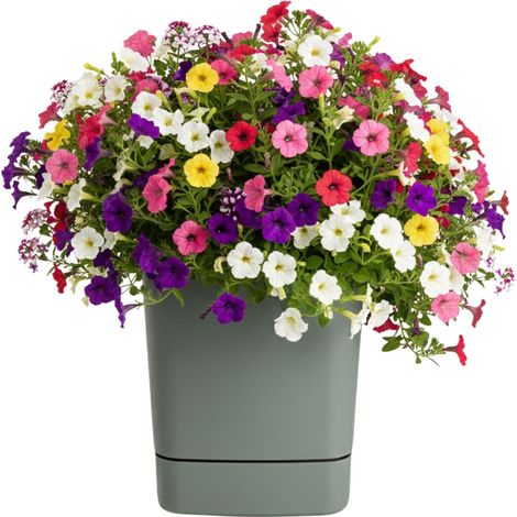 CUBI Recycling-Blumentopf mit Untersetzer, graugrün, 34 x 34 cm