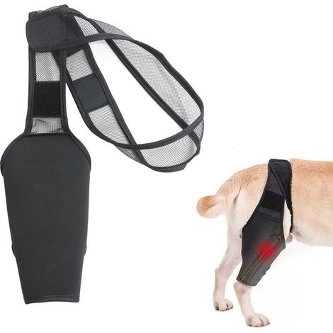 Collerettes pour chiens,Protection de cuisse pour chien, attelle articulaire, orthèse de patte, attelle de rééducation, sangle de fixation de patte, taille XL (1/5)
