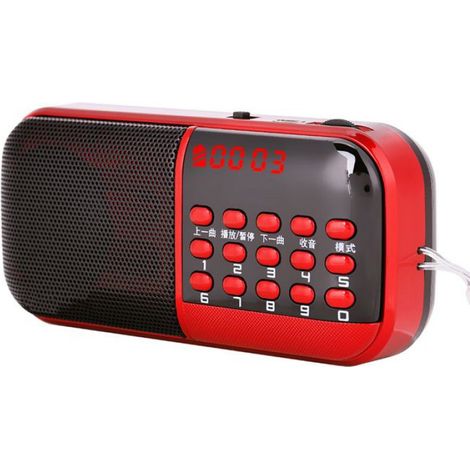 Mini Radio Haut-Parleur - FM 87.5-108 MHz - 2 Emplacements Carte Mémoire - Écran LCD - 3 W - 2 Batteries 18650 (1/5)