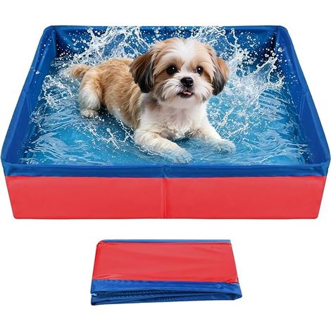 Piscine pour chien, petite, pliable, 50 x 10 cm, résistante aux griffures et à l'usure, idéale pour l'été. Fabriquée en PVC rouge, elle convient pour la baignade et le rangement. Couleur : rouge. (1/5)