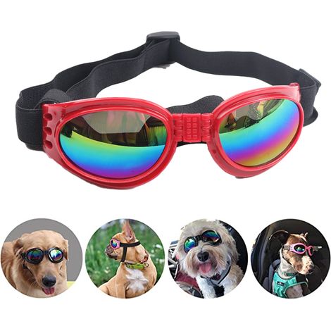 Lunettes de protection pour chien, lunettes de soleil imperméables pour animaux de compagnie, protection UV, lunettes de soleil coupe-vent pour chiens (1/5)