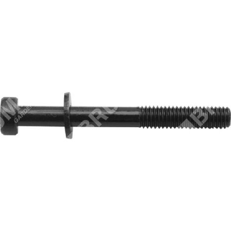 Vite marmitta zmg4302-5302  m6x55 COMPATIBILE - 049916