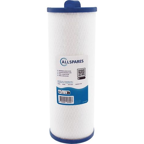 Filtro per acqua per spa AllSpares adatto per SC843 / PP6541 / 4CH-949 (1/4)