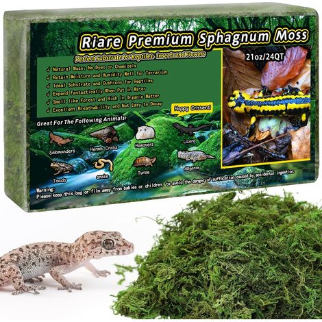 Mousse de sphaigne Naturelle pour Reptiles - Mousse Verte Vivante pour Terrarium, éclosion, substrat de sphaigne forestière pour Serpents, Gecko (600g) (1/5)