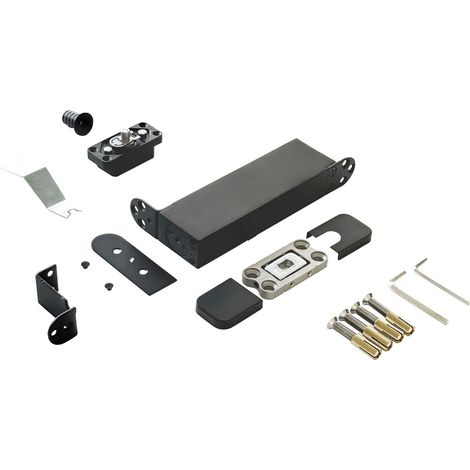 Türband Pivotica Pro E 100/56 FM, max. 100kg,Türstärke ab 40 mm, Schwarz (1/5)
