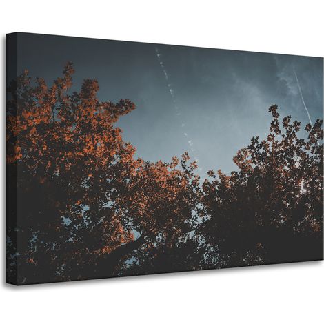 Lienzo impreso con copas de naranjos, 90x60 cm.
