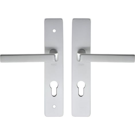 Ensemble Poignée sur Plaque - 1 Unité - Aluminium Argent - Serrure Clé I Entraxe 195mm - Porte Entrée Cave Jardin - Épaisseur 38 à 48mm (1/5)