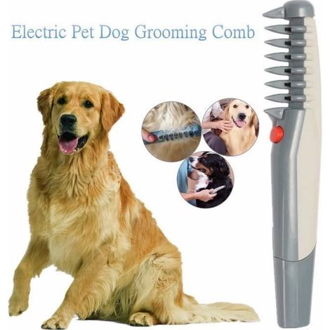 Peigne de Toilettage Électrique pour Chats et Chiens - Compact - Lames Rotatives en ABS (1/4)