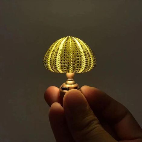 Lampe De Nuit Fai-Da-Faire - Coquillage Riccio Di Mare - Lumière Douce Pour Chambre Ou Salon - Kit Complet ×1 (1/5)