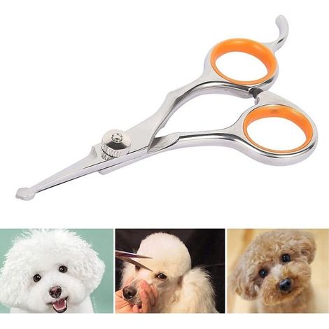 Ciseaux pour Chien Acier Inoxydable Tranchant 13×5.5×0.5cm Ciseaux Toilettage Chien Professionnel pour Chats Chiens et Autres Animaux de Compagnie (1/5)