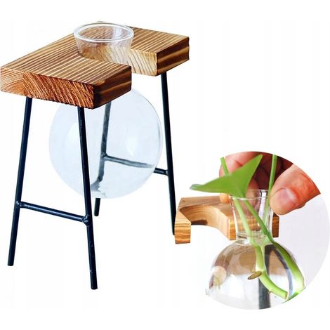 Dekotopf Glas Holz Hydrokultur Wurzelset 1 Stück Bambusständer (1/5)