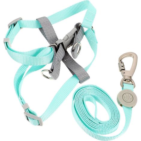 Conjunto de arnés y correa ajustables para perros con anillas, 1 juego, color verde. (1/5)