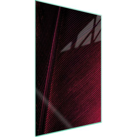 TAGLIERE IN VETRO 35x52 Feather (1/5)