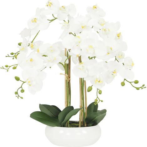 Orchidée artificielle blanche 55cm