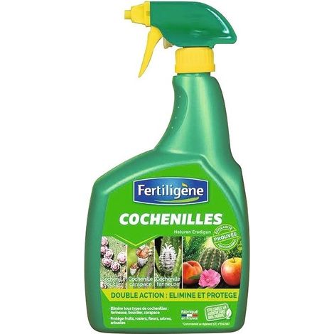 Farbige Karmesinrot vorgefertigt 800
