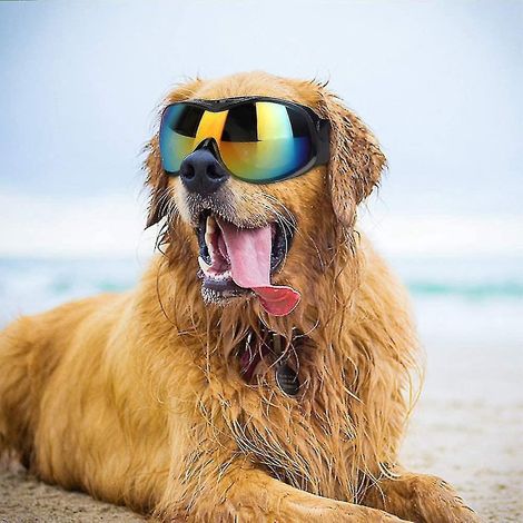UV-Sonnenbrille für große und mittelgroße Hunde – Schwarz