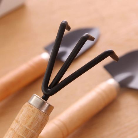 Mini Kit De 3 Outils De Jardinage Pour Plantes En Pot Et Succulents - Pelles Et Râteau - Parfait Pour La Maison Et Le Balcon-KZQ (1/2)