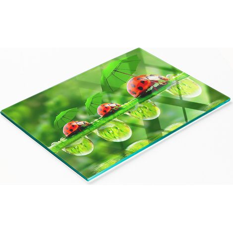 Tabla de cortar decorativa de vidrio templado con diseño de mariquita, 80x52 cm (1/5)