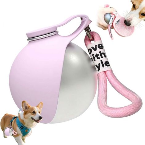Gourde pour chien - Bouteille d'eau - Gourde pour animaux de compagnie - Gourde portable - Gourde en acier inoxydable - 9 x 8,7 cm - Rose - Silicone et acier inoxydable (1/5)