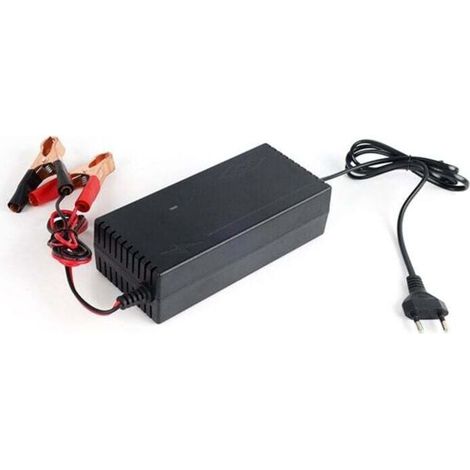 Chargeur Batterie Phosphate Fer 14.6V 10A pour Énergie Solaire Stockage Scooter Voiture 12.8V 4S Prise UE (1/4)