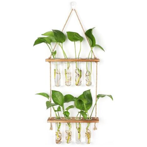 Pair - Station de Propagation avec Support en Bois Vase Mural,Verre Suspendu pour Plantes Hydroponiques (1/4)