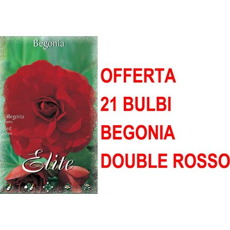 OFFERTA 21 BULBI PRIMAVERILI BEGONIA DOUBLE ROSSO BULBS FIORI