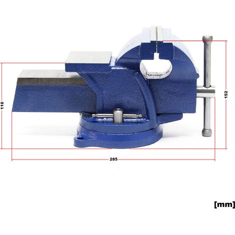 Wiltec Schraubstock Heavy Duty 100 mm Klemmbacke, Spannwerkzeug mit Amboss für schwere Beanspruchung für Werkbank (1/4)