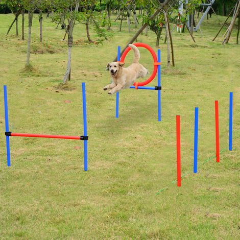 Agility sport pour chiens équipement complet obstacles et entrainement 11 pièces parcours agility chien avec sac de transport rouge bleu
