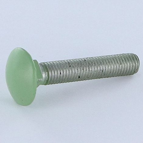 TRCC JAPY tête ronde collet carré M7X40 Pas de 100 Filetage total Aluminium RAL6021 vert pale 30%B-1 pièce (1/4)