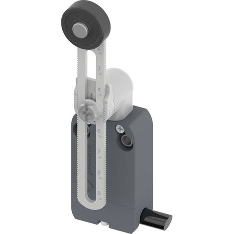 Pizzato Elettrica NF B112KP-DN2 NF B112KP-DN2 Fine corsa 250 V/AC 4 A Leva ruotabile Momentaneo IP67 1 pz.