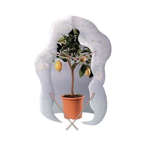 Telo Antigelo per Piante Mantello in TNT Brixo 320x160 cm