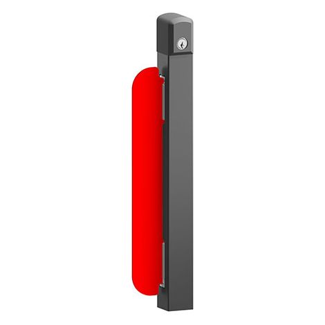 DISEC BAN500FN PROT FLAGLOCK PORT BASC