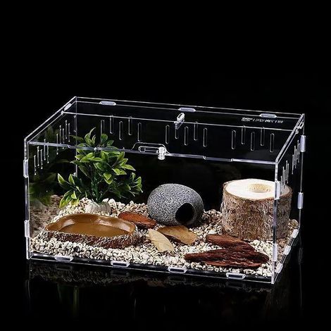 Terrarium en Acrylique Cage d'Élevage Transparente pour Reptiles Insectes et Araignées Boîte de Transport Lumineuse pour Animaux de Compagnie (1/5)