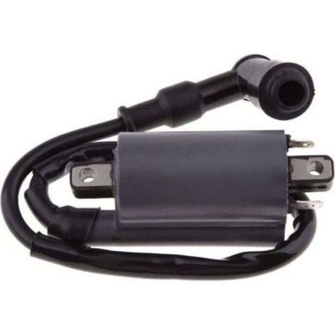 Bobine d'allumage pour Buyang 260 260cc 300cc D300 G300 Motor (1/5)