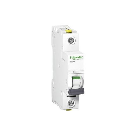 SCHNEIDER A9F06125. SCHNEIDER ELECTRIC