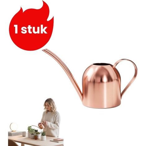 pièce - Arrosoir en acier inoxydable - Mini pulvérisateur de jardin - Arrosoir avec bec long - Arrosoir pour plantes en pot (500 ml) - Or rose (1/5)
