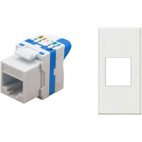TechLy presa di rete RJ45 UTP CAT.6a tooless + Axolute bianca