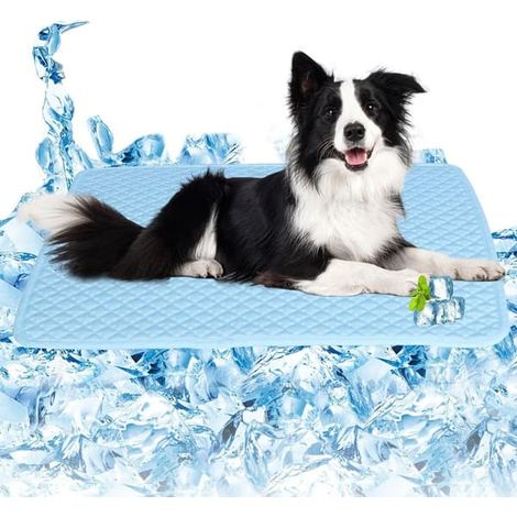 Tapis rafraîchissant pour chien, couverture et tapis rafraîchissants pour chat, lavable, pour la maison, les voyages et la voiture. Bleu, 40 x 30 cm. (1/5)