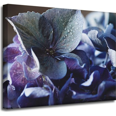 Leinwanddruck „Blumen Blaue Hortensie“ 50x40