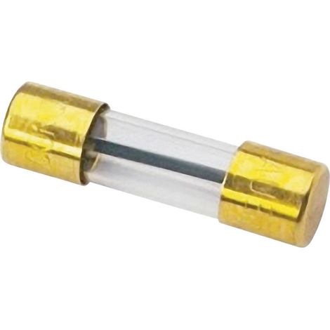 Sinuslive Car-HiFi Glassicherung 100 A 1 St.