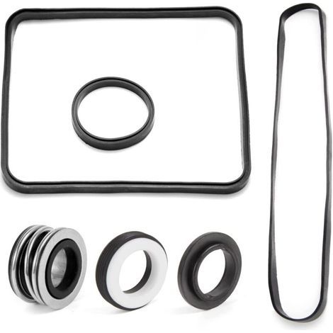 Kit de Réparation de Joint Torique de Joint de Pompe de Piscine pour un Entretien Régulier et des Réparations Rapides Compatible avec Hayward Super Pump SP2600 SP1600 (1/5)
