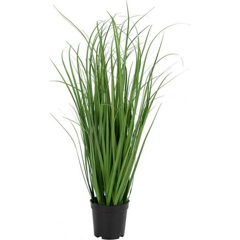 POANA - Pâturin Décoratif Artificiel Hauteur 68cm (1/4)