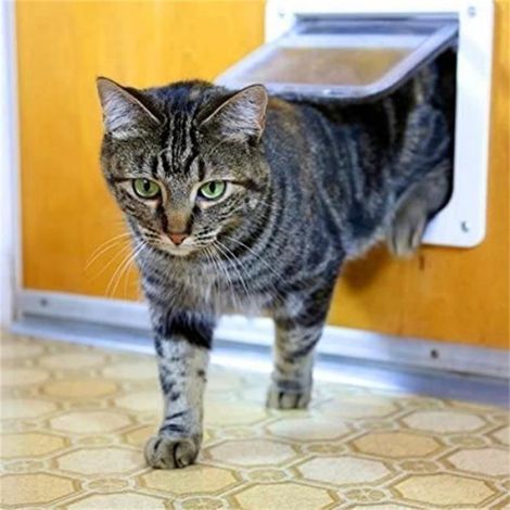 Chatiere Pour Chat - ABS - 23.5 x 25 x 5.3 cm - 4 Modes Verrouillage - Pour Fenetre Porte Mur - 1 Piece (1/4)