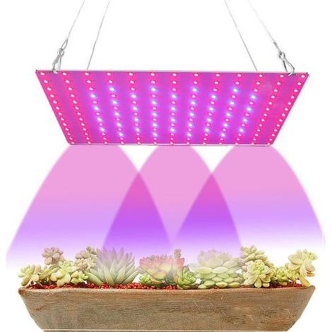 169 LED-Pflanzenlampe für Zimmerpflanzen (1/2)