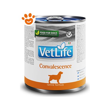 Farmina Dog Vet Life Convalescence  - Farmina Dog Vet Life Convalescence - Lattina Da 300 Gr